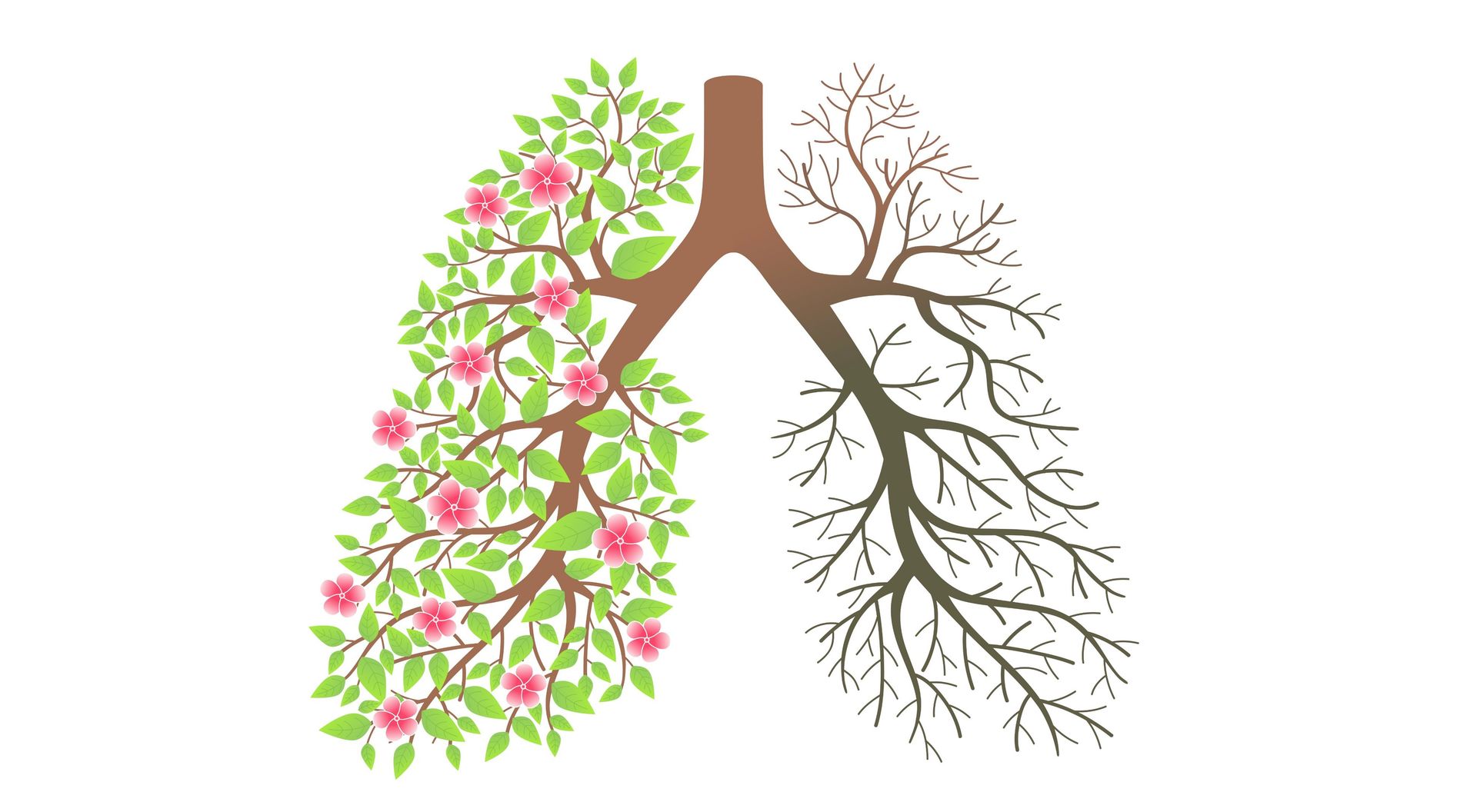 Ballet Fitness, Uma Disciplina Que Fortalece E Alonga Os Músculos 1