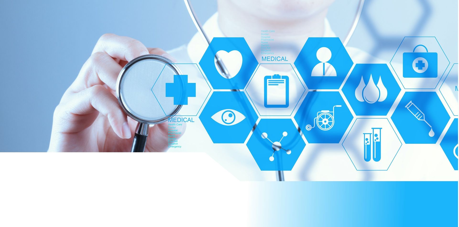 Como Reduzir De Peso 10 Quilos Em 2 Meses? 1